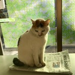 おばちゃん八百屋 - テーブルの上でひなたぼっこ^ ^