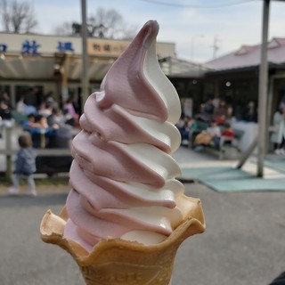 並んででも食べたいソフトクリーム By Sasuke 愛知牧場 モーハウス売店 アイチボクジョウモーハウス 黒笹 アイスクリーム 食べログ 並んででも食べたいソフトクリーム By Sasuke 愛知牧場 モーハウス売店 アイチボクジョウモーハウス 黒笹 アイスクリーム 食べログ