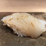 菊鮨 - あおりいか