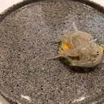 stesso e Magari CHIC - 2019/2