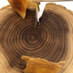 stesso e Magari CHIC - 2019/2