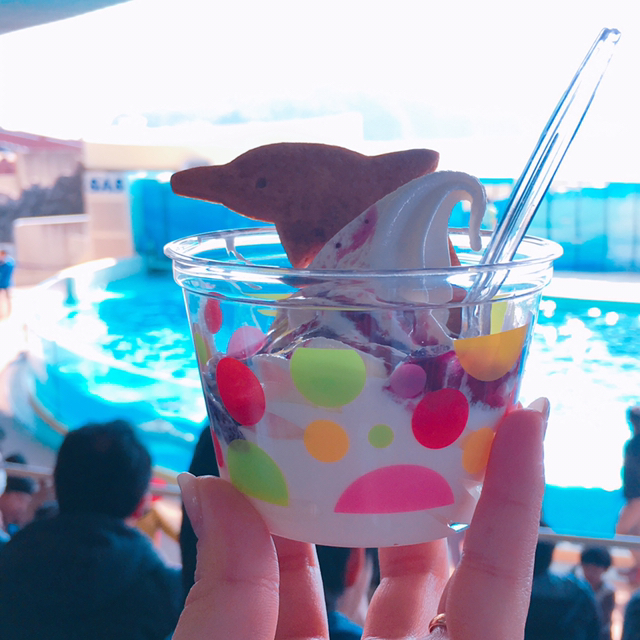 新江ノ島水族館 メインショップ 新江ノ島水族館 Mainshop 片瀬江ノ島 その他 食べログ