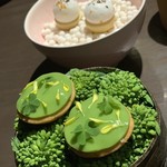 sincere - かわいい菜の花グリーン