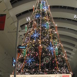 クイーン・アリス - クリスマスツリー