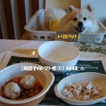 Karo Foresuta - [Dog Menu]鶏団子のトマト煮セット(S)♨