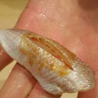 紀尾井町 三谷 - 