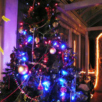 イルブッテロ - お店入ってすぐにクリスマスツリーが・・・