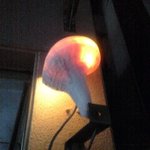 ぢゅげむ - 看板アップです