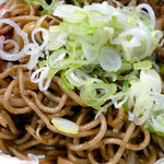 焼きそばネギ乗せ
