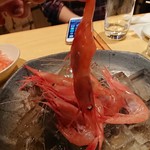 居酒屋　純ちゃん - 