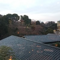 日本料理 みゆき - 