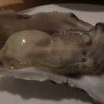 da.b - 岩牡蠣(アップ)