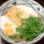 Marugame Seimen - とろ玉うどん 冷（並） 380円