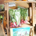 デイライトキッチン - 