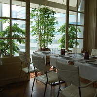 Benoit Alain Ducasse - 