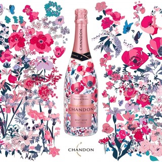 アクイラ・ウォランス_2