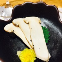 柳家錦 - 