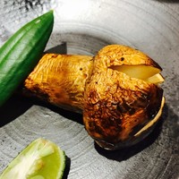 柳家錦 - 