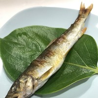 柳家錦 - 