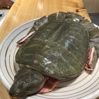 柳家錦 - 