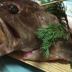 活魚料理 津々浦 - 