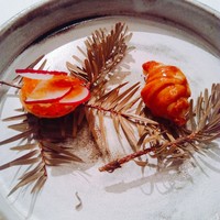ロドラント ミノルナキジン - 