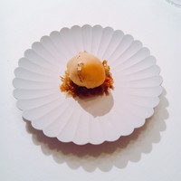 ロドラント ミノルナキジン - 