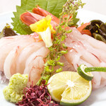 red shrimp sashimi