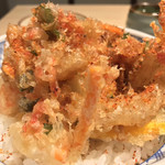 味奈登庵 - 野菜かき揚げ天ぷらにもブチまけろ！  #BCMKR!