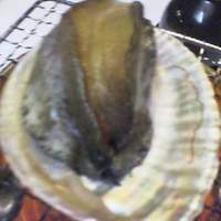 坐漁荘 - 