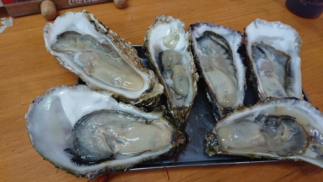 生カキ6個で千円 By やよつん 海鮮浜焼 九寅 上野御徒町 居酒屋 食べログ 生カキ6個で千円 By やよつん 海鮮浜焼 九寅 上野御徒町 居酒屋 食べログ