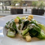 ドノスティア - 