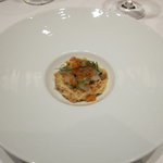 カンテサンス - ポロ葱とエビ