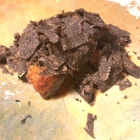 日本料理 銭屋 - 