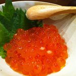 博多磯ぎよし - いくら醤油漬け