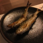 うを徳 - モロコ