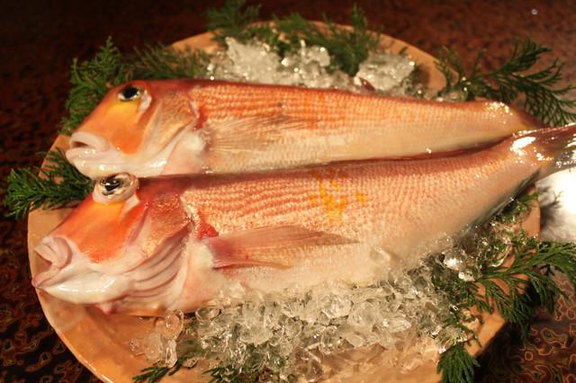 割烹 千代 - 新鲜な甘鲷が入荷