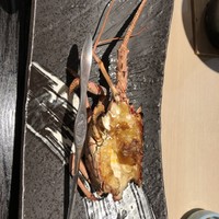 割烹 武田 - 