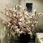 器楽亭 - 気取らない大人の居酒屋