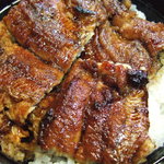 炭火焼うなぎ 東山物産 - うな丼中1600円