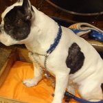 アニバーサリー2001 - 