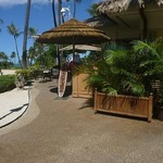 Longboards Bar & Grill - 