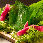 【葉野菜　ブーケレタス】