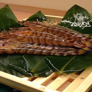 天ぷら かよう_2