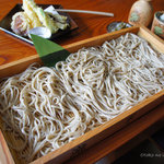 瀧不動生蕎麦 - 