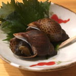 墨や - バイ貝煮つけ