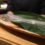 墨や - 活け烏賊 スタンバイ状態