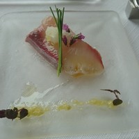 サーラ アマービレ - 