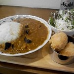 とろとろカレーmasa - 日替鶏ひき肉となすのカレー