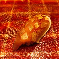 鮨　日本橋　鰤門 - 